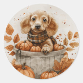 Herbst Dackel Hunde Pumpkin Runder Aufkleber