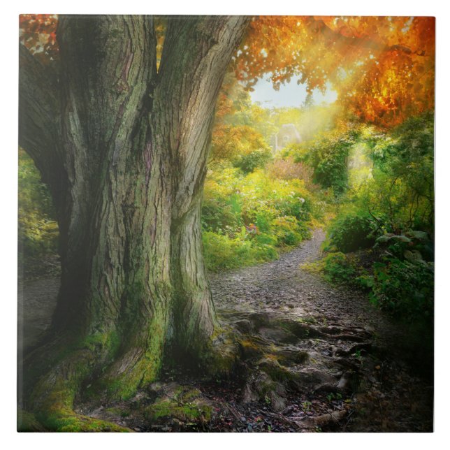 Herbst - Der Weg zum Grannenhaus Fliese (Vorderseite)