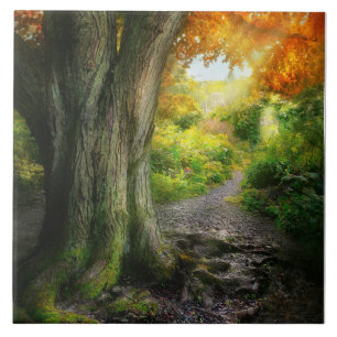 Herbst - Der Weg zum Haus der Oma Fliese
