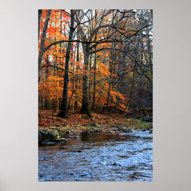 Herbst durch Stream Print #154 Poster (Vorne)