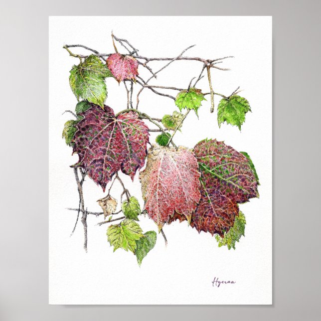 Herbst-Efeu-Hoffnung Fine Art Poster (Vorne)
