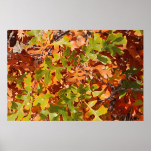 Herbst-Eichen-Tapete Poster