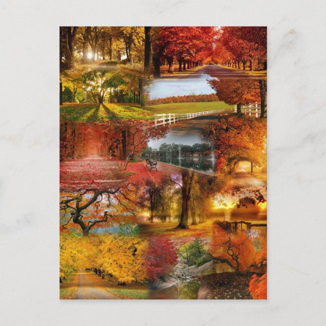 Herbst eins postkarte (Vorderseite)