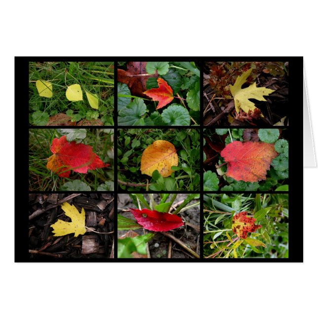 Herbst(en) Schönheiten (Vorderseite (Horizontal))