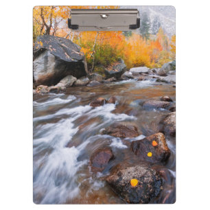 Herbst entlang Bischof Creek, CA Klemmbrett