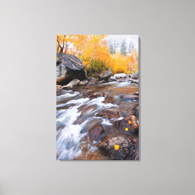 Herbst entlang Bischof Creek, CA Leinwanddruck (Vorderseite)