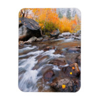 Herbst entlang Bischof Creek, CA