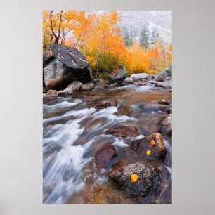 Herbst entlang Bischof Creek, CA Poster