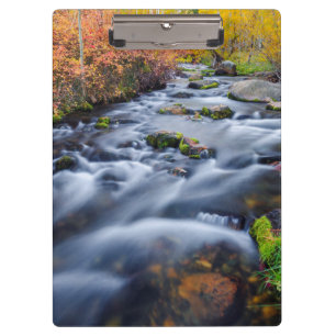 Herbst entlang Lundy Creek, Kalifornien Klemmbrett