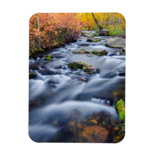 Herbst entlang Lundy Creek, Kalifornien Magnet