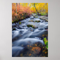 Herbst entlang Lundy Creek, Kalifornien