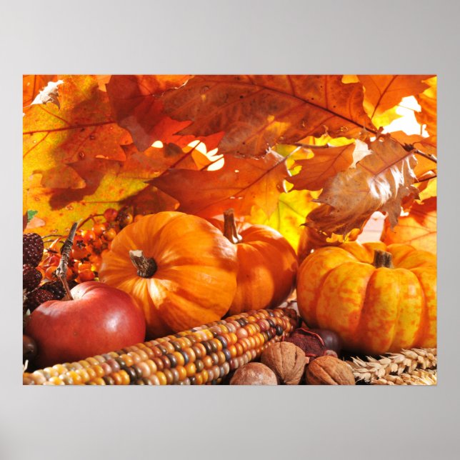 Herbst Erntedank Harvest - Pumpkins, Mais, Apple Poster (Vorne)