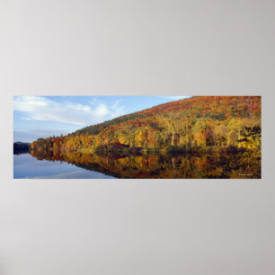 Herbst-Farben 2 Poster