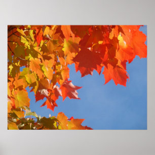 Herbst-feine Kunst-Druck-Orangenbaum verlässt Poster