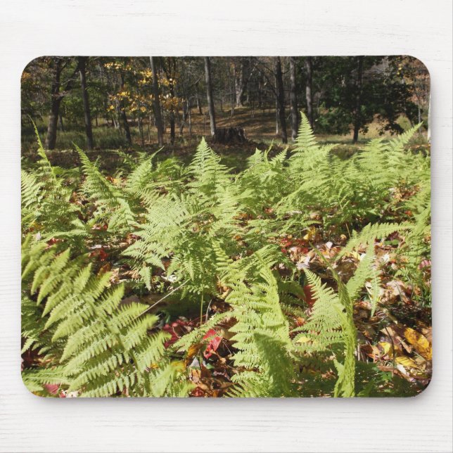 Herbst Ferns Mousepad (Vorne)