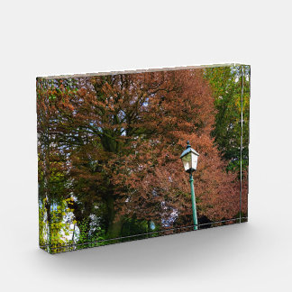 Herbst fotoblock