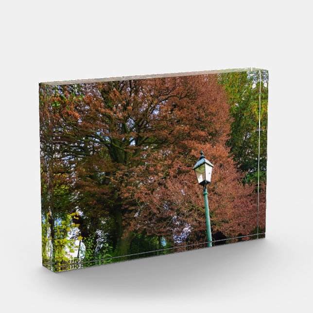 Herbst  fotoblock (Links)