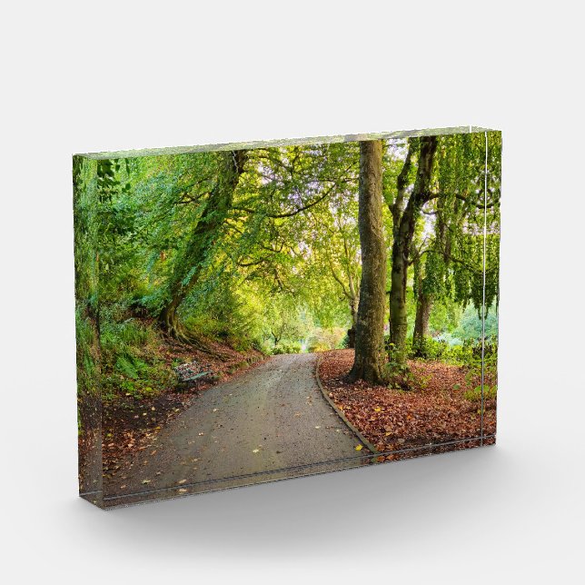 Herbst  fotoblock (Links)