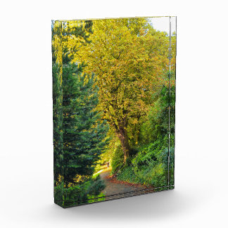 Herbst fotoblock