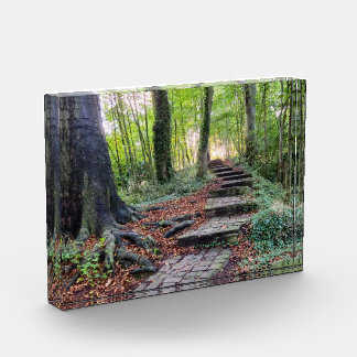 Herbst fotoblock