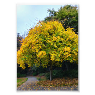 Herbst Fotodruck