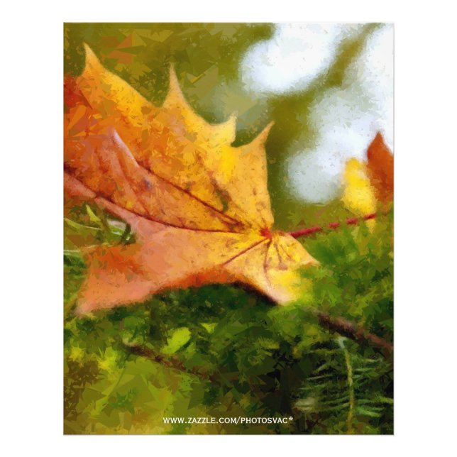 Herbst Fotodruck (Vorne)