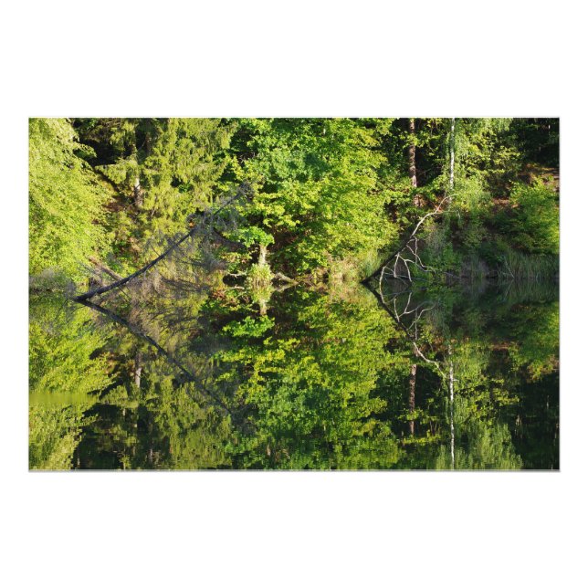 Herbst Fotodruck (Vorne)