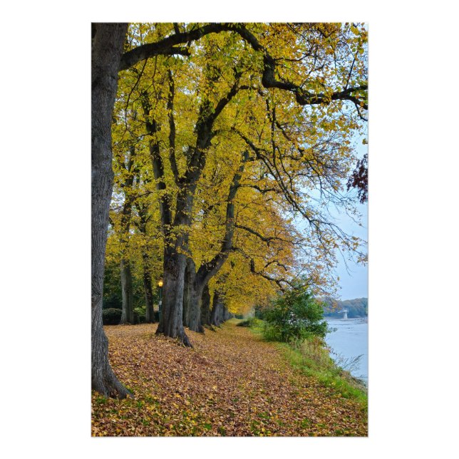 Herbst  fotodruck (Vorne)