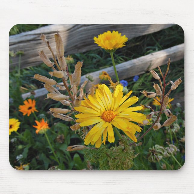 Herbst-Freuden-Mausunterlage Mousepad (Vorne)