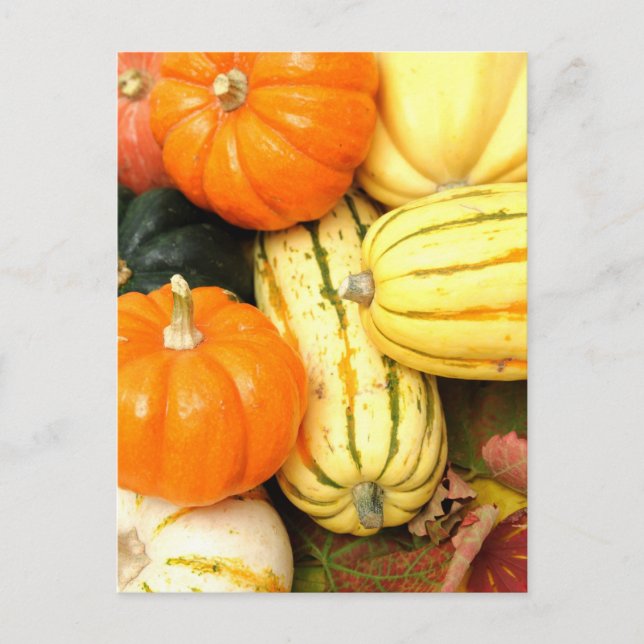 Herbst Gemüse Postkarte (Vorderseite)