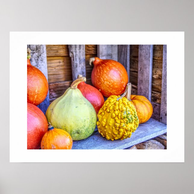 Herbst Gourds Poster (Vorne)