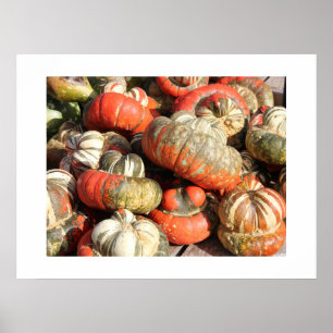Herbst Gourds Poster