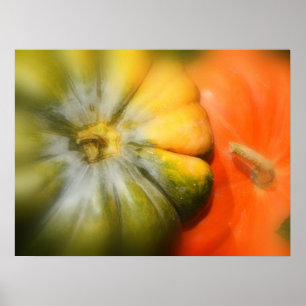 Herbst Gourds Poster