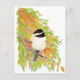 Herbst, Herbst, Chickadee, Vogelwelt Postkarte