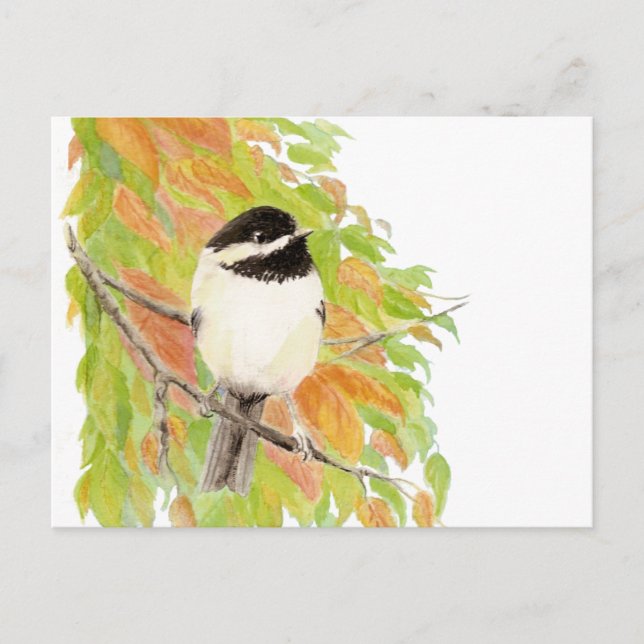 Herbst, Herbst, Chickadee, Vogelwelt Postkarte (Vorderseite)