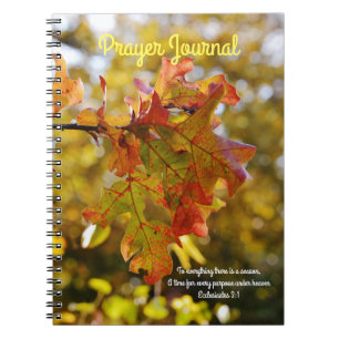 Herbst Herbst Leaves Praetjournal Notizblock