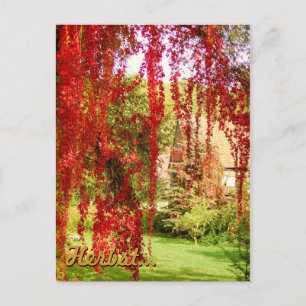 Herbst / Herbst Postkarte