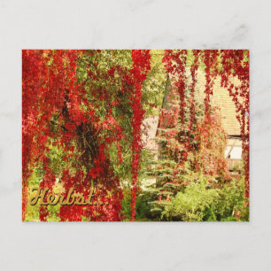 Herbst / Herbst Postkarte