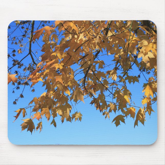 Herbst, Herbstblätter, Bäume und blauer Himmel Mousepad (Vorne)