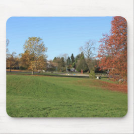 Herbst, Herbstblätter, Bäume und blauer Himmel Mousepad