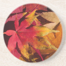 Herbst Herbstlaub Orange und Golden