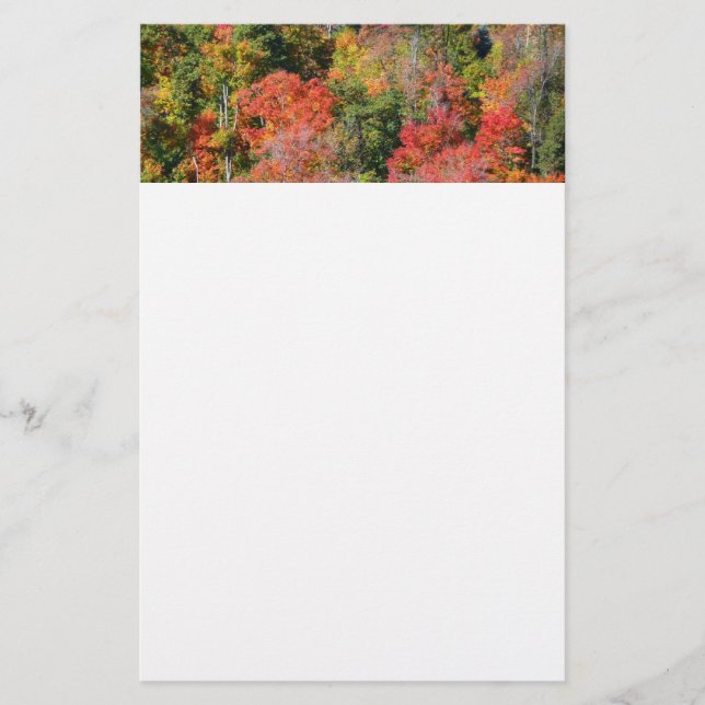 Herbst Hillside farbenfrohe Herbstfotografie Briefpapier (Vorderseite)