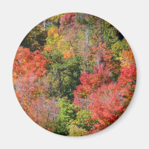 Herbst Hillside farbenfrohe Herbstfotografie Magnet