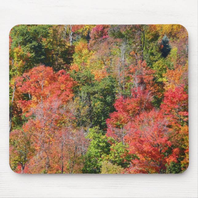 Herbst Hillside farbenfrohe Herbstfotografie Mousepad (Vorne)