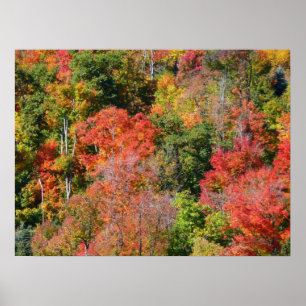Herbst Hillside farbenfrohe Herbstfotografie Poster