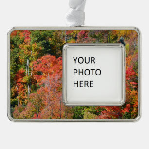 Herbst Hillside farbenfrohe Herbstfotografie Rahmen-Ornament Silber