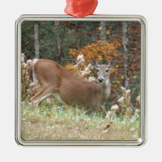 Herbst Hirsche im Arrowhad GA Silbernes Ornament