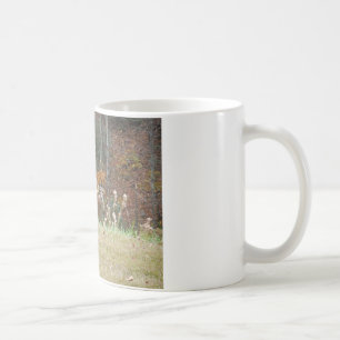 Herbst Hirsche im Arrowhad GA Tasse
