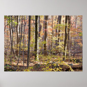 Herbst-Holz Poster