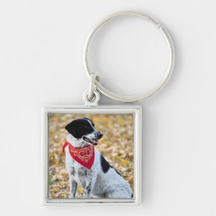 Herbst-Hund Schlüsselanhänger